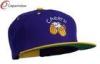Embroidered Snapback Baseball Caps Purple Gold Cheers with Beer Mugs