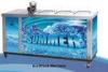 Low Noise 1.00mm ice Block Commercial Refrigerator Freezer 6720kg / 24hours