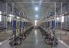 Parallel Quick-Release Automatic Milking Parlour with Waikato Milk Flow Meter