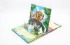Eco - friendliy glossy lamination Pop Up Book Printing Service , 3D Children Board Book