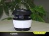 High Voltage Purple Light Mosquito Killer Solar Motion Security Light