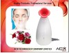 Nano Ion Facial Steamer