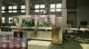 3 In 1 Rotary / Linear Automatic Water Filling Machine , Drinking Water Bottling Plant