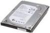 160GB Desktop Seagate Hard Disk Drive SATA Desktop Internal Hard Disk Drive