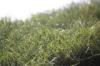Eco Friendly Green Playground Artificial Grass For Landscape Decoration