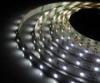 DC12V 12Watt Low Voltage LED Strip Lights Warm White / White SMD 2835 120led