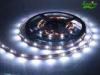 SMD5050 Single Color FPC 5M Low Voltage LED Strip Lights for Indoor or Outdoor Decoration