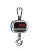 300kg Digital Hanging Weight Scale / Electronic Crane Balance for Food or Medical