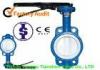PTFE Seat Corrosion Resistant Valves Teflon Lined sea water Butterfly valve