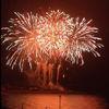 Professional grade outdoor Display fireworks un0336 1.4g consumer fireworks