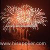 Professional grade outdoor Display fireworks un0336 1.4g consumer fireworks