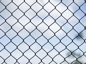 dunqiang Chain link mesh