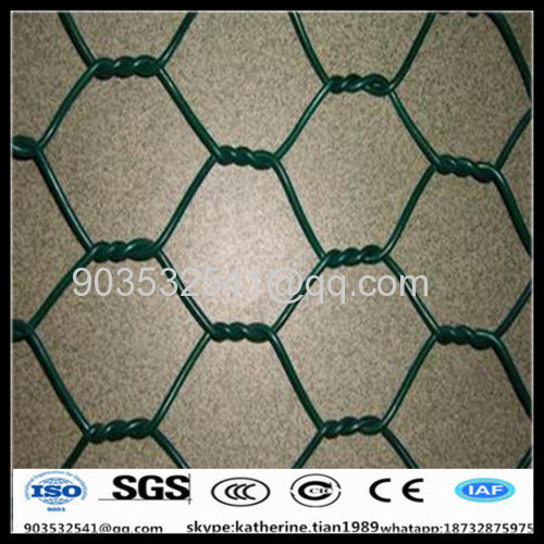 13mm bwg27 0.5m Anping hexagonal planting mesh screen 