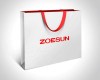 2015 New Design luxury shopping bags paper gift bag paper hand bag Manufacturer