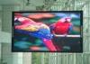P10 RGB Stage LED Screens , Indoor And Outdoor LED Display