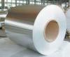 No.1 finished Hot Rolled 316 Stainless Steel Coil 405mm - 700mm Width