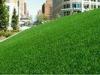 Home Garden Landscaping Or Indoor Synthetic Grass putting greens SGS Approved