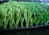 8800Dtex 50mm Soccer Artificial Grass Synthetic Grass For Sports , Weather resistance