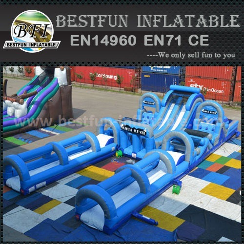 Gaint inflatable jump obstacle hippo slide