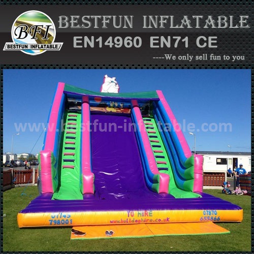 Huge Beautiful Inflatable Slide of China Manufacturer