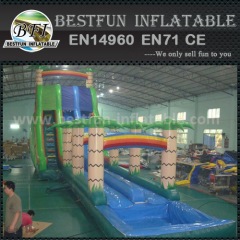 Amusement Park Large Junge Inflatable slip and slide