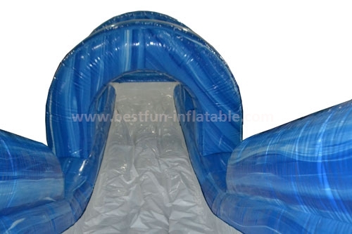 Blob up commercial big slip and slides