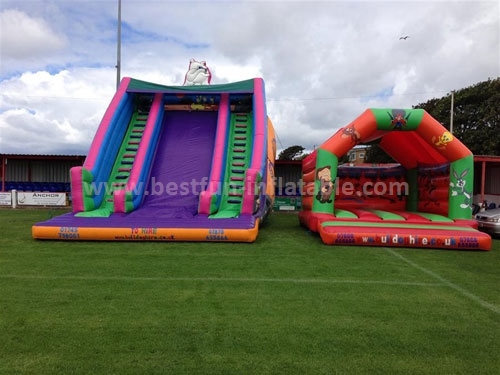 Huge Beautiful Inflatable Slide of China Manufacturer