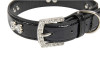 L:2.5*50cm Large Size Dog Leather Collar