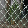 The Chain link fence