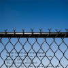 Galvanized chain link fence