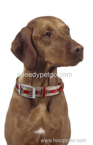 High Grade Durable Nylon Dog Collar