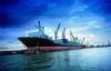Fast Reliable Ocean Freight Services LCL FCL From Ningbo TO MEXICO