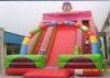 Two Climbing Ladders Commercial Inflatable Slide , 7M Height Inflatable Clown Slide For Players