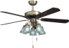 52&quot; decorative ceiling fan light