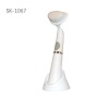 New Products High Quality brush electrical facial massage Beauty Device