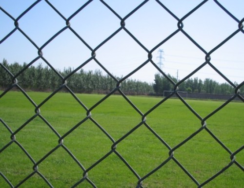 Chain link mesh fence