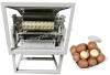 Macadamia Nut Shell Cutting Machine