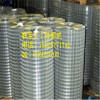 welded wire mesh electro galvanized welded wire mesh