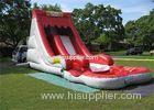 Charming Colorful Fire Resistant Inflatable Water Slip and Slide With Pool