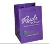 Custom Printed Paper Bags With Logo Design