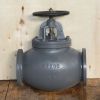 Marine Cast Iron Globe Valve JIS F7307 10k