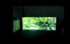Electronic IP65 Outdoor SMD LED Display PH6 , Full Color Outdoor LED Display