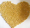 100% Pure non-GMO Dry Soybean for food or for Sprouting from China