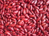 100% Pure non-GMO Dry Red kidney Beans for food or for Sprouting from China