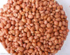 100% Pure non-GMO Dry and Raw Peanut kernels from China