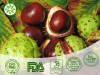 Horse Chestnut Seed Extract(HCSE)