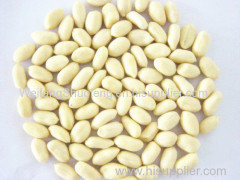 100% Pure non-GMO Dry and Raw Peanut kernels without skin, blanched peanut kernels from China