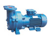 2BV(SKA) series liquid ring type vacuum pump