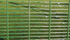 Hot Dipped Galvanized Welded HIgh Security Fence