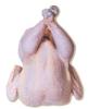 Whole Frozen Chicken Halal